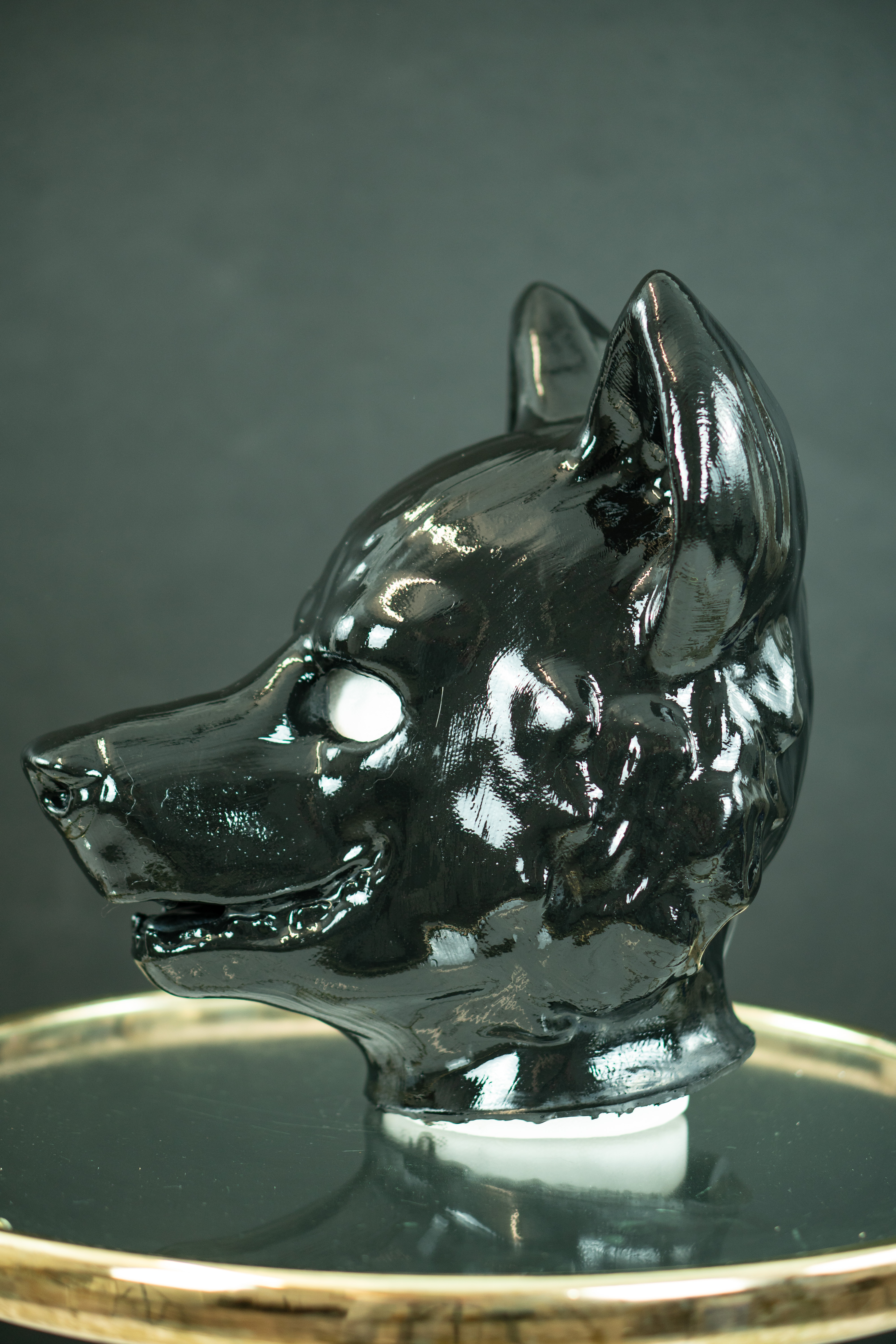 Wolf Bild 4