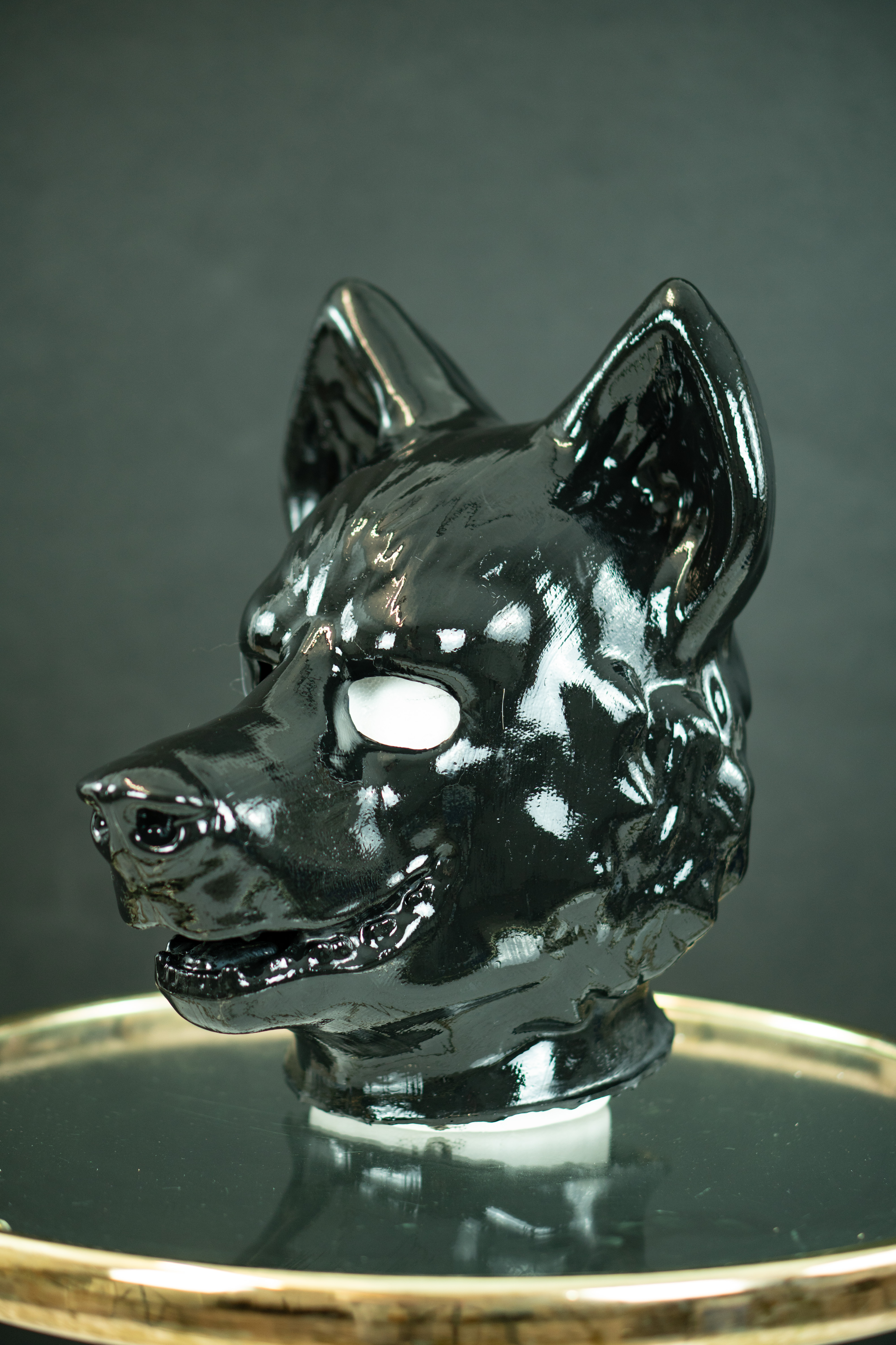 Wolf Bild 1