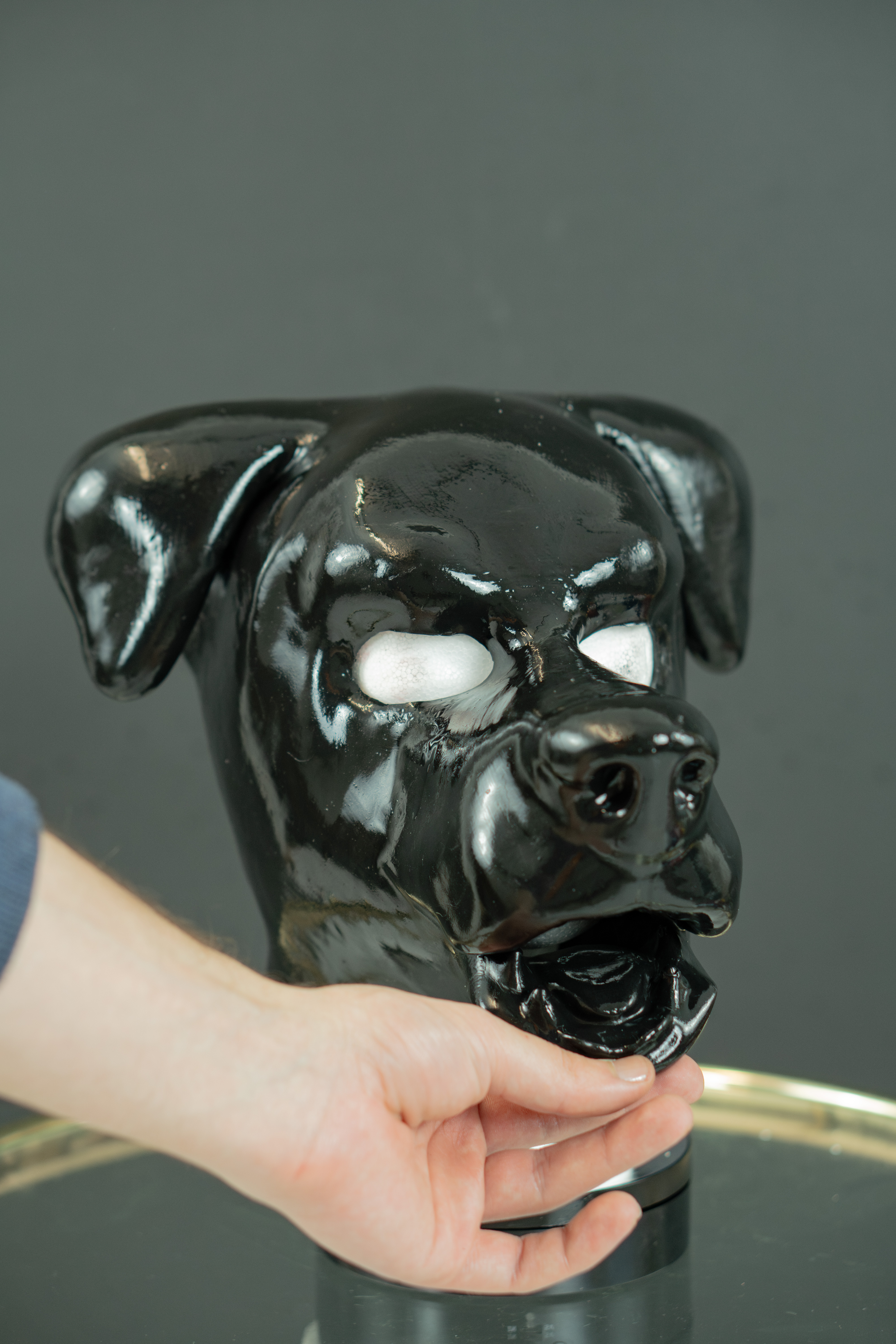 Dog 2 Bild 3