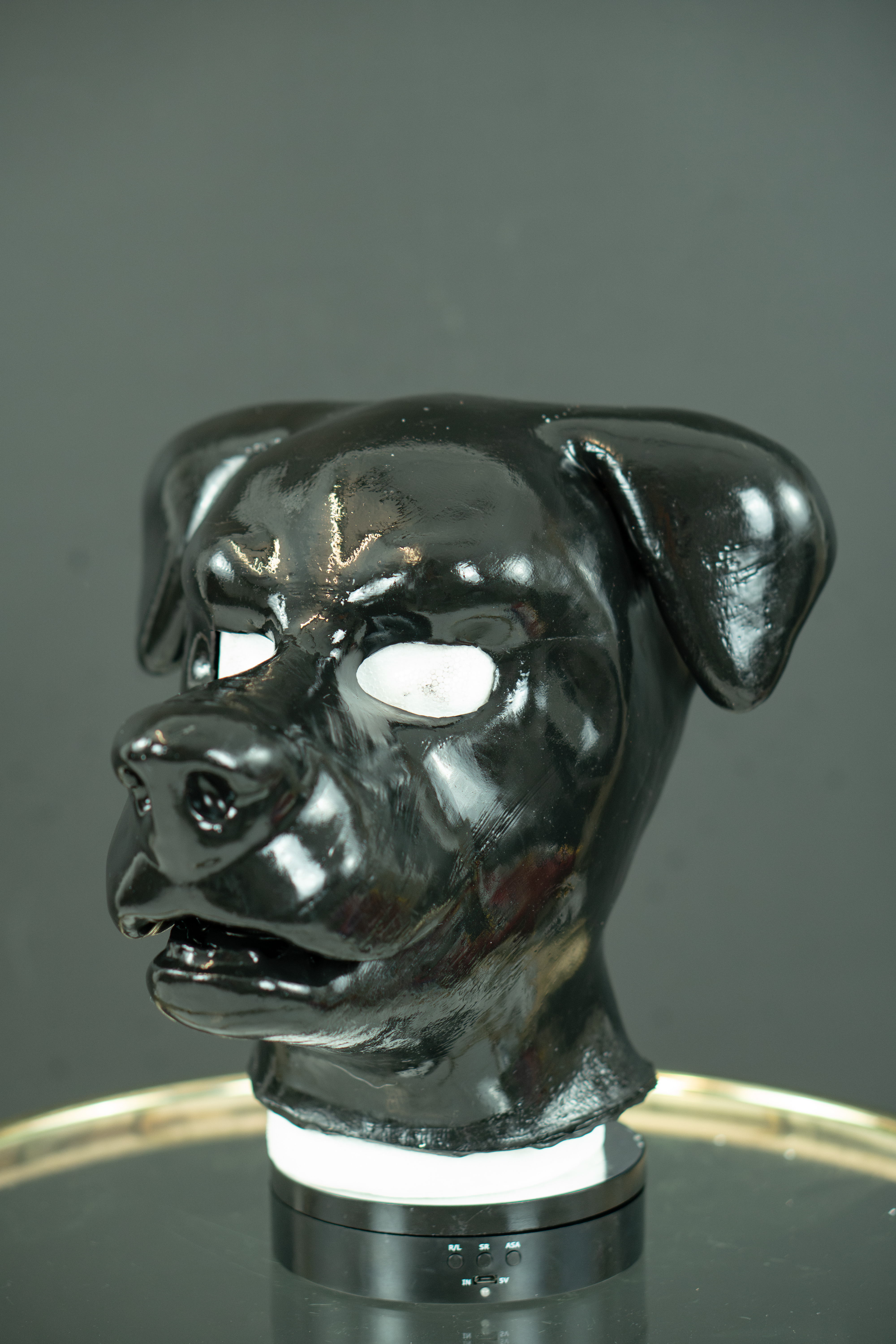 Dog 2 Bild 1