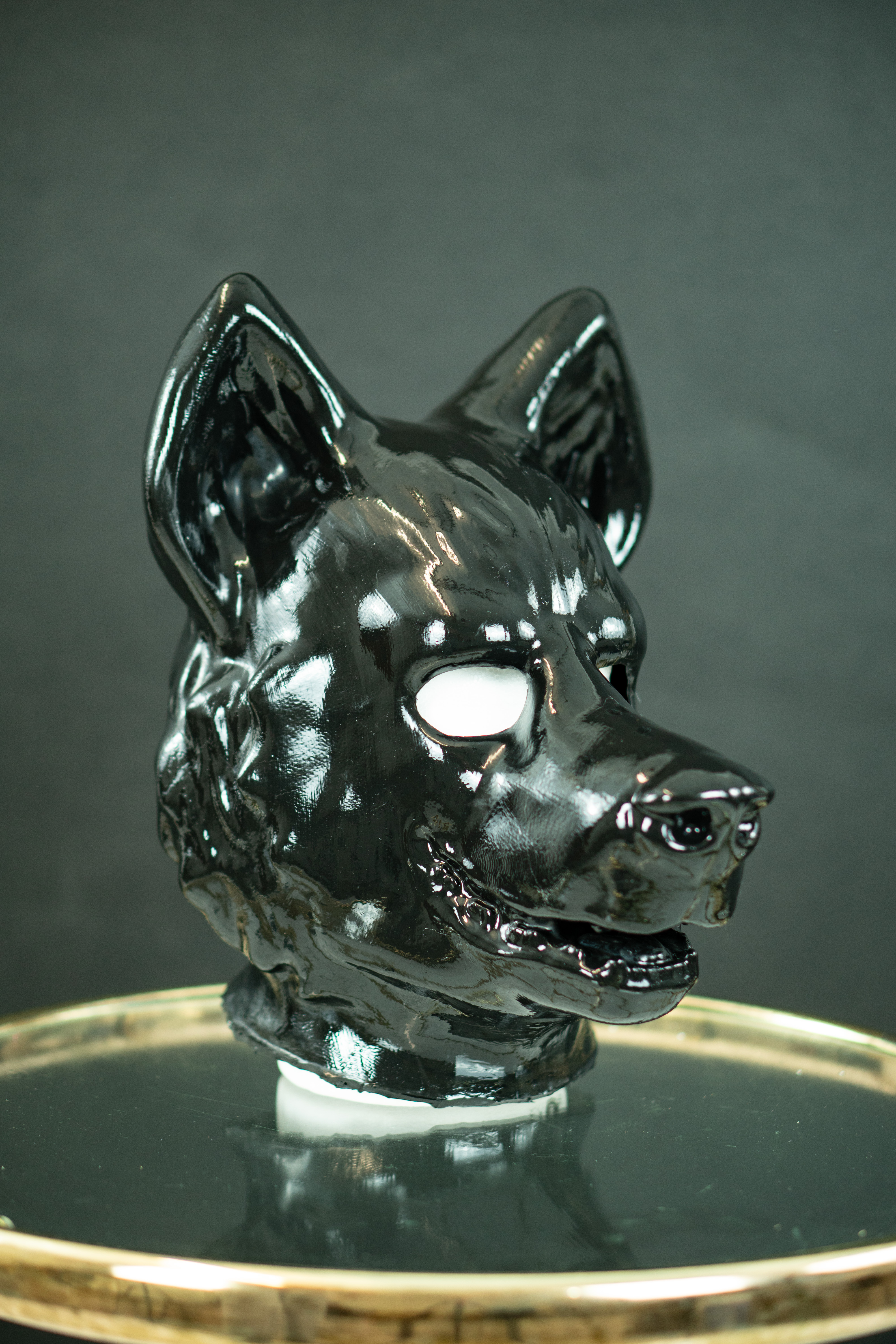 Wolf Bild 3